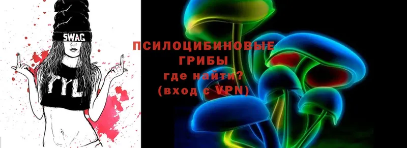 мега вход  Дубна  Галлюциногенные грибы Psilocybe 